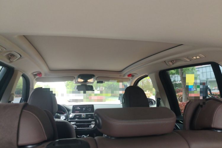 Used BMW X3 2020 xDrive25i Luxury Package Headliner