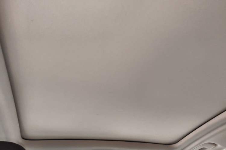 Used BMW X3 2020 xDrive25i Luxury Package Headliner