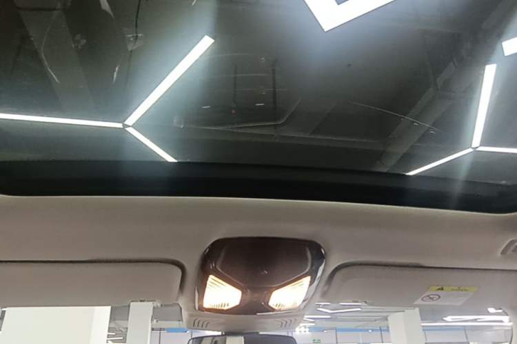 Used BMW X3 2020 xDrive28i Luxury Package Headliner