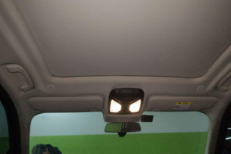 Used BMW X3 2020 xDrive28i Luxury Package Headliner