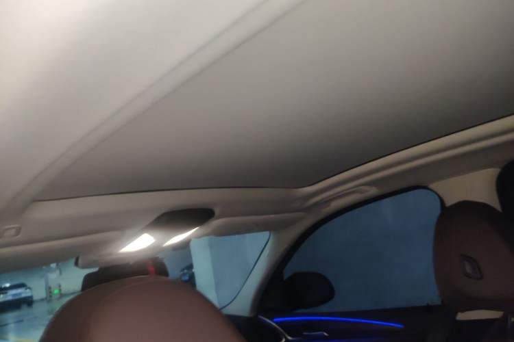 Used BMW X3 2020 xDrive28i Luxury Package Headliner
