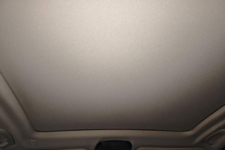 Used BMW X3 2020 xDrive25i Luxury Package Headliner