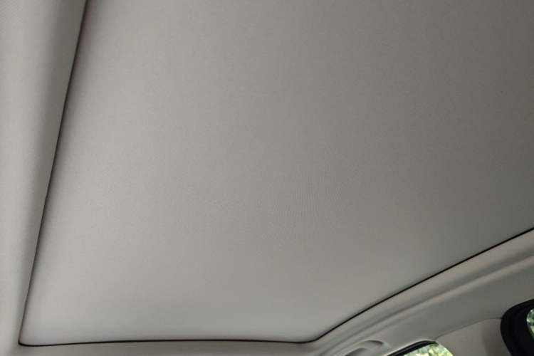 Used BMW X3 2020 xDrive25i Luxury Package Headliner