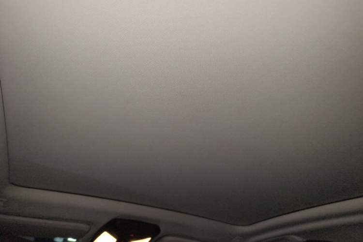 Used BMW X3 2020 xDrive28i Luxury Package Headliner