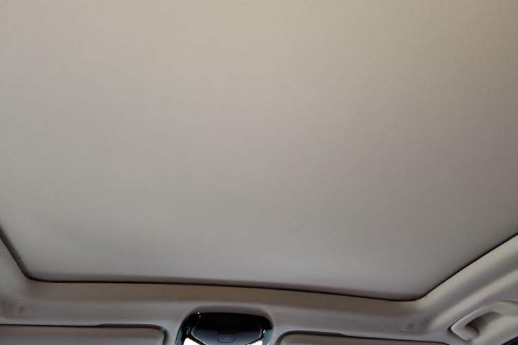 Used BMW X3 2020 xDrive28i Luxury Package Headliner