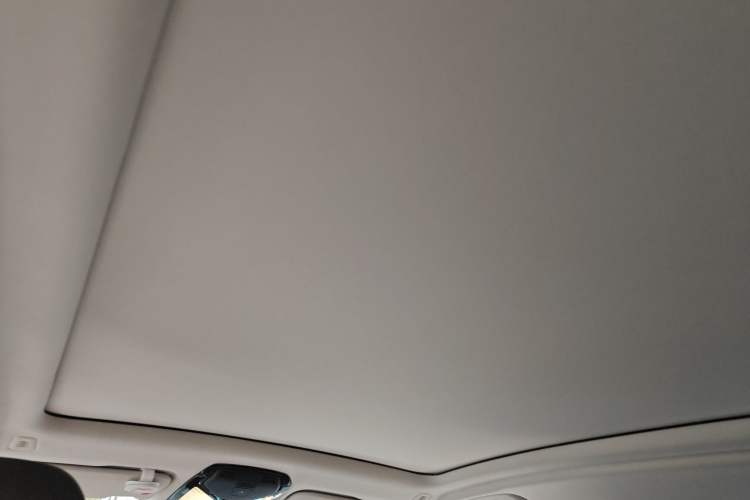 Used BMW X3 2021 xDrive28i Luxury Package Headliner