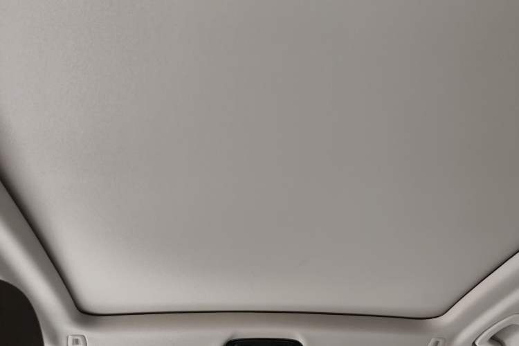 Used BMW X3 2021 xDrive28i Luxury Package Headliner