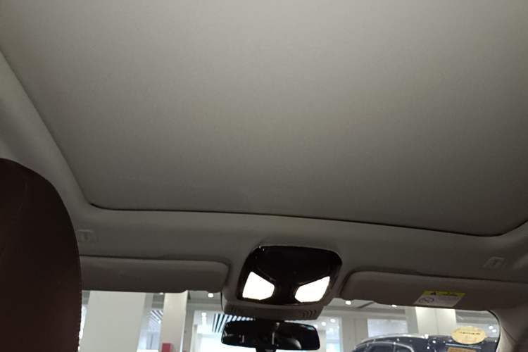 Used BMW X3 2021 Restyled xDrive30i Leading Edition M Sport Package Headliner
