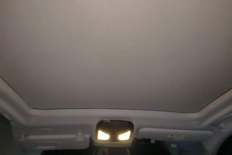 Used BMW X3 2021 Facelift xDrive28i Luxury Package Headliner