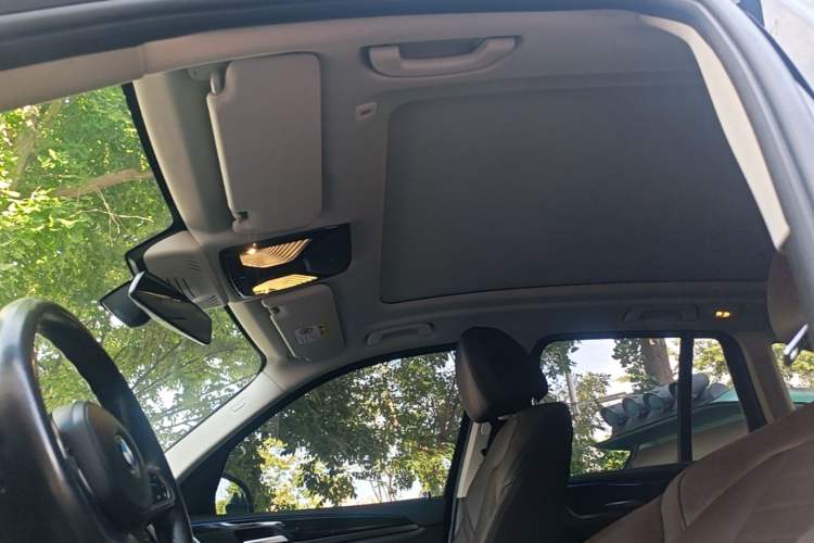 Used BMW X3 2021 xDrive25i Luxury Package Headliner