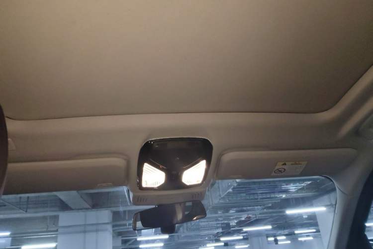Used BMW X3 2021 xDrive25i Luxury Package Headliner