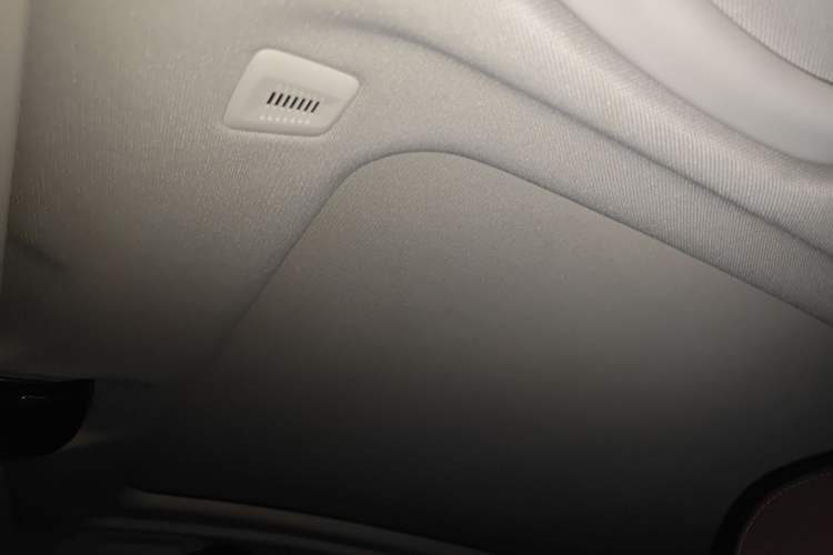 Used BMW X3 2021 xDrive28i Luxury Package Headliner