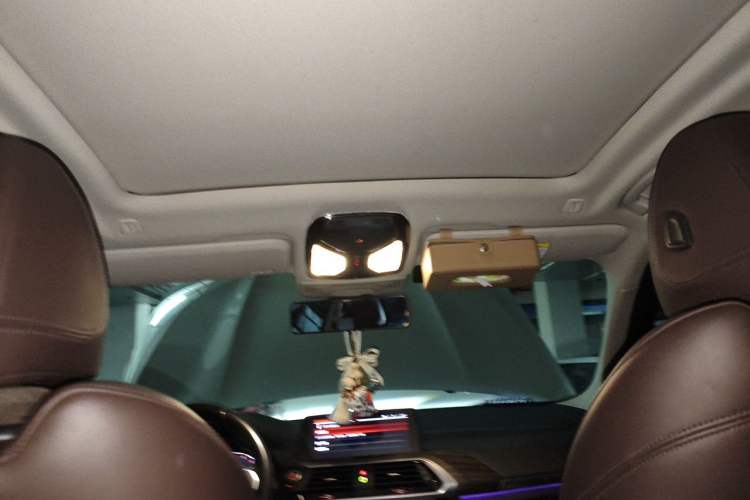 Used BMW X3 2021 Facelift xDrive28i M Sport Package Headliner