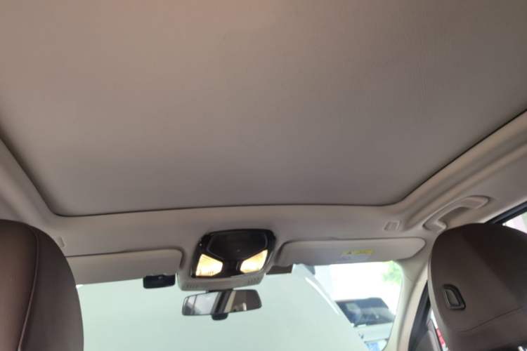 Used BMW X3 2021 xDrive28i Luxury Package Headliner