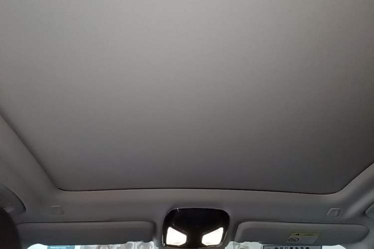 Used BMW X3 2021 xDrive28i Luxury Package Headliner