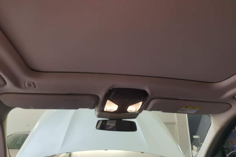 Used BMW X3 2021 Facelift xDrive28i Luxury Package Headliner