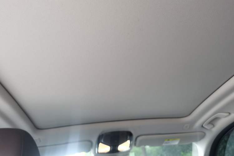 Used BMW X3 2021 xDrive28i Luxury Package Headliner