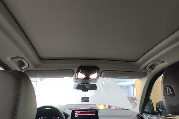 Used BMW X3 2021 xDrive28i Luxury Package Headliner