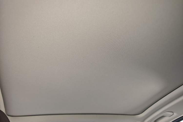 Used BMW X3 2021 xDrive28i Luxury Package Headliner