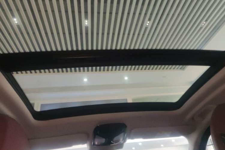Used BMW X3 2022 Second Facelift xDrive30i Leading Edition M Night Sky Package Headliner