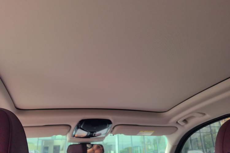 Used BMW X3 2022 xDrive30i Luxury Model M Night Sky Package Headliner