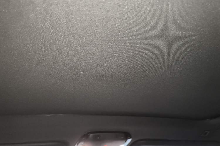 Used BMW X3 2022 Restyled xDrive30i Luxury Edition M Night Sky Package Headliner