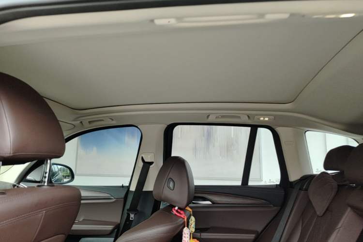 Used BMW X3 2022 xDrive30i Luxury Model M Night Sky Package Headliner