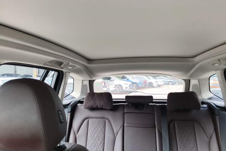 Used BMW X3 2022 xDrive30i Luxury Edition M Night Sky Package Headliner