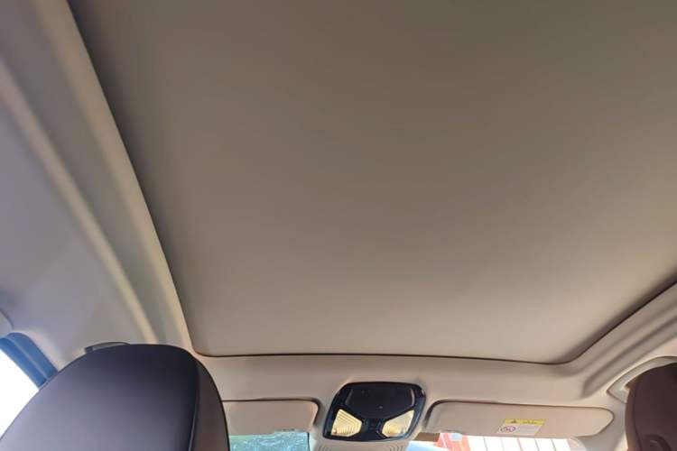 Used BMW X3 2022 Facelift xDrive30i Luxury Edition M Night Edition Package Headliner