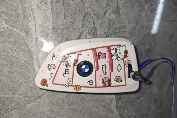 Used BMW X3 2022 Restyled xDrive25i M Sport Package Vehicle Key