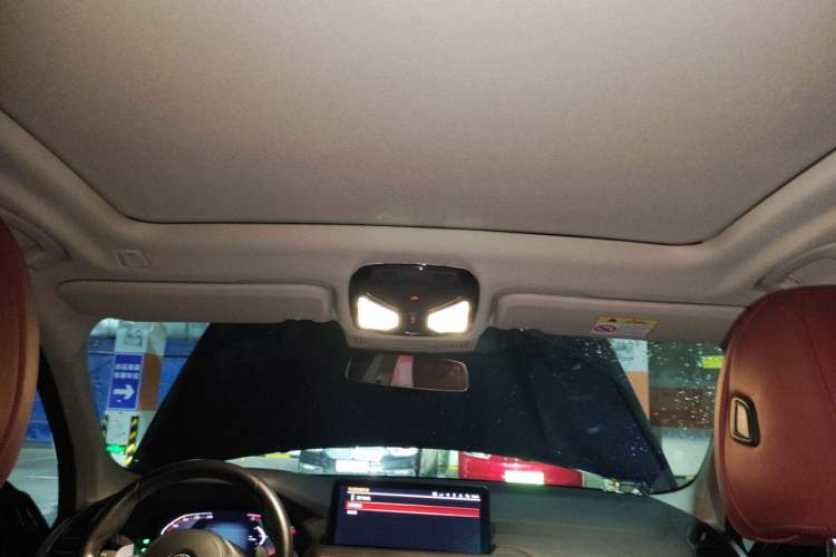 Used BMW X3 2022 Facelift xDrive30i Luxury Edition M Night Edition Package Headliner