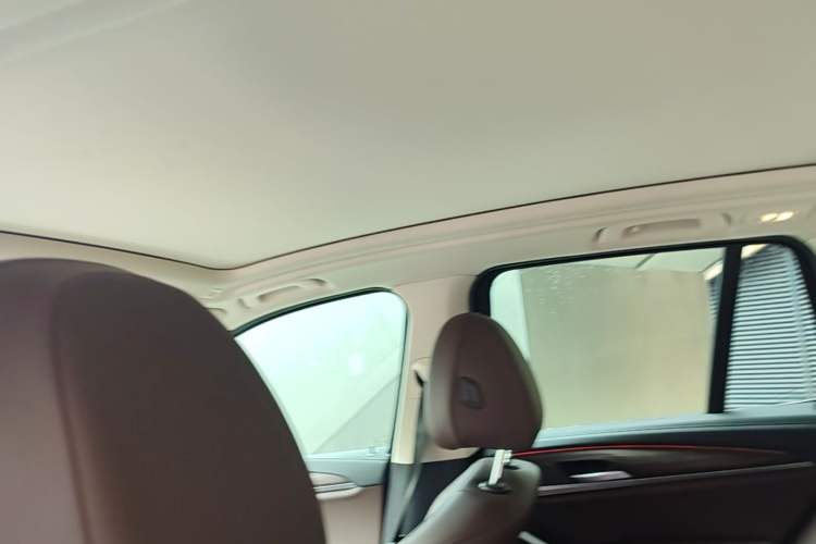 Used BMW X3 2022 xDrive30i Luxury Model M Night Sky Package Headliner