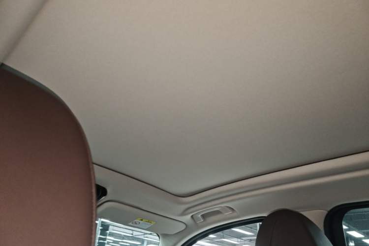 Used BMW X3 2022 xDrive30i Luxury Model M Night Sky Package Headliner