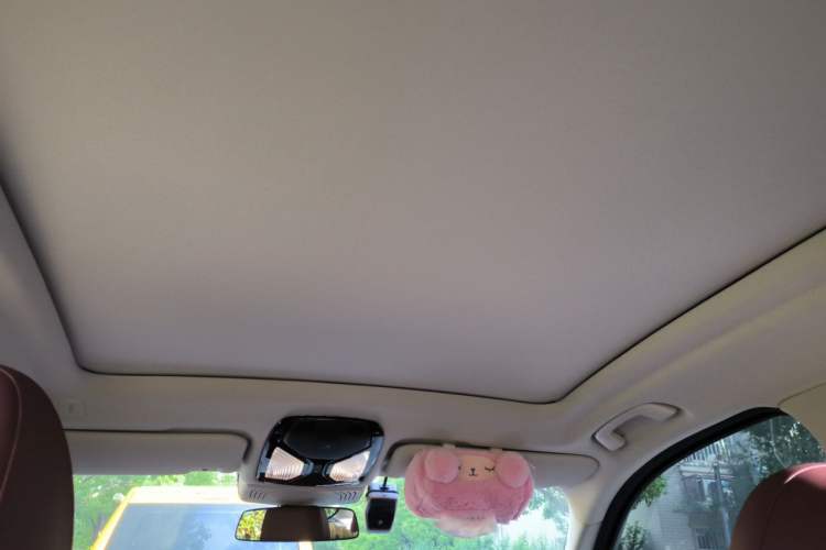 Used BMW X3 2022 Restyled xDrive25i M Sport Package Headliner