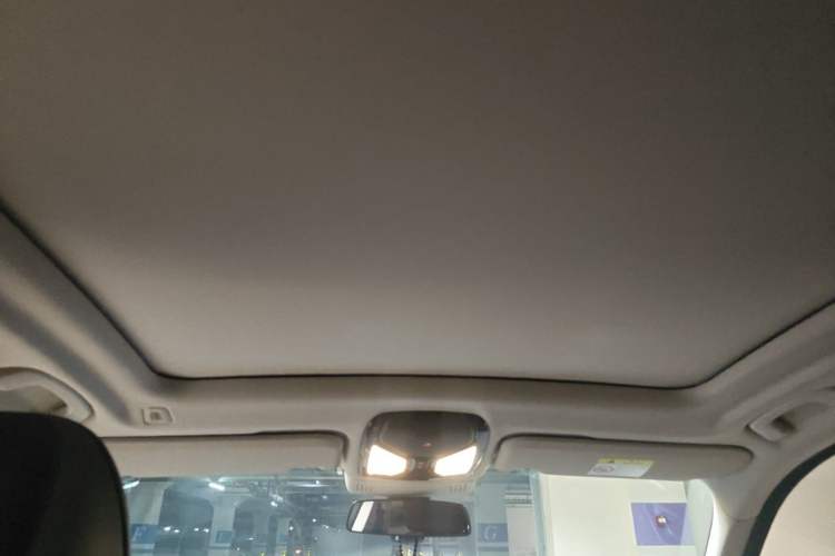 Used BMW X3 2022 Facelift xDrive30i Luxury Edition M Night Edition Package Headliner