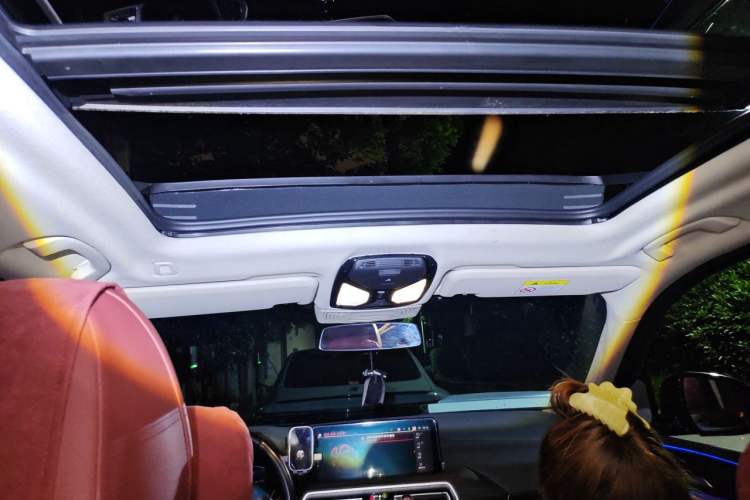 Used BMW X3 2022 xDrive30i Luxury Model M Night Sky Package Headliner