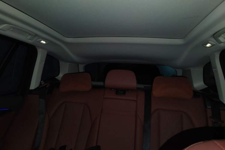 Used BMW X3 2022 Facelift xDrive30i Luxury Edition M Night Edition Package Headliner