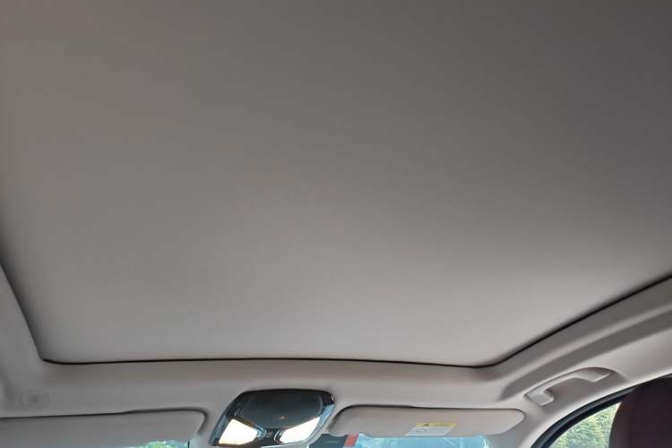 Used BMW X3 2022 Facelift xDrive30i Luxury Edition M Night Edition Package Headliner