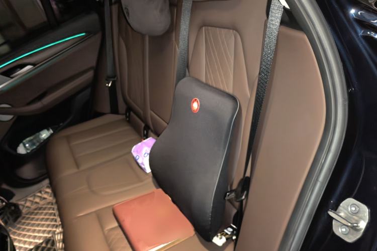 Used BMW X3 2022 xDrive30i Luxury Model M Night Sky Package Left Rear Seat