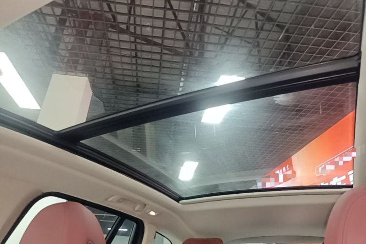 Used BMW X3 2022 Second Facelift xDrive30i Leading Edition M Night Sky Package Headliner