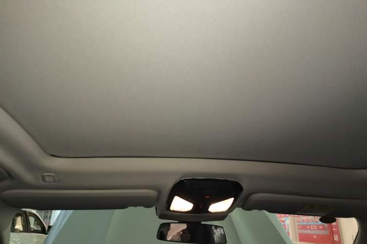 Used BMW X3 2022 xDrive30i Luxury Model M Night Sky Package Headliner