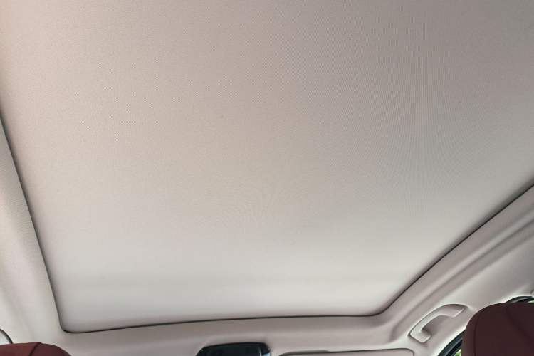 Used BMW X3 2022 xDrive30i Luxury Model M Night Sky Package Headliner