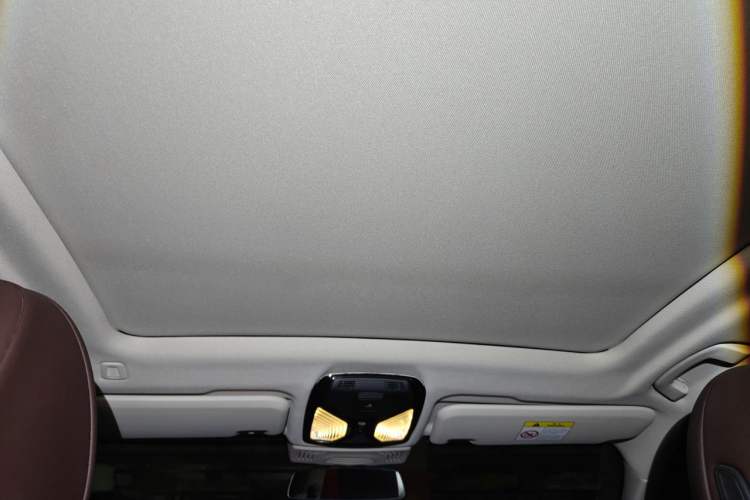 Used BMW X3 2022 Facelift xDrive30i Luxury Edition M Night Edition Package Headliner