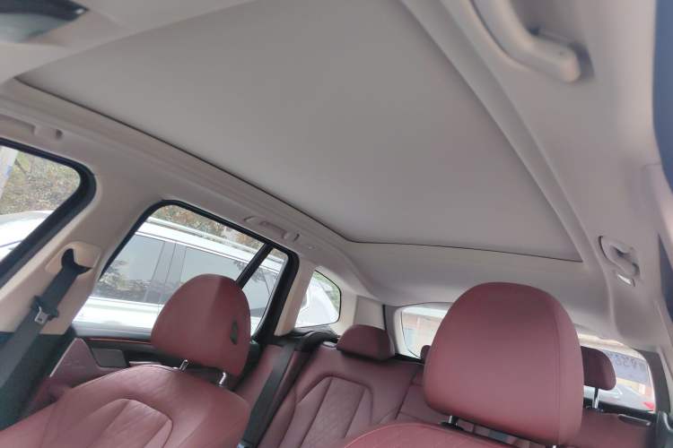 Used BMW X3 2022 xDrive30i Luxury Model M Night Sky Package Headliner