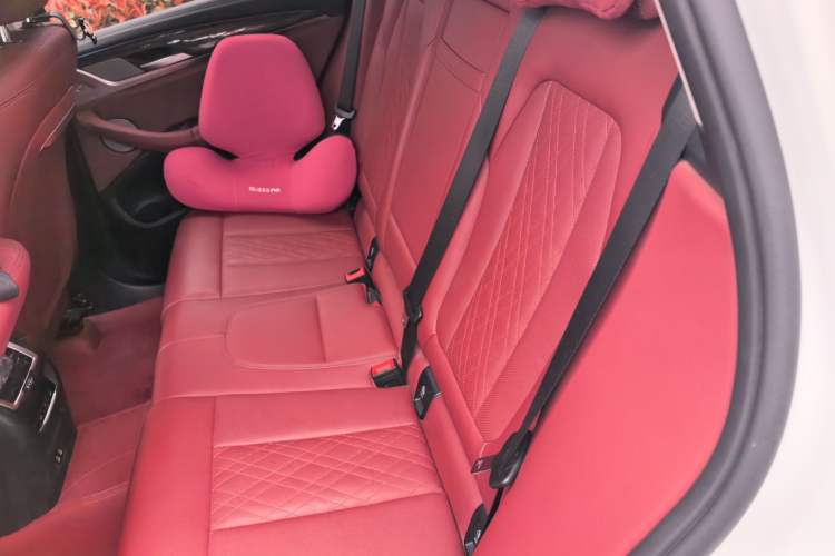 Used BMW X3 2022 xDrive30i Luxury Model M Night Sky Package Left Rear Seat