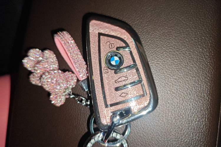 Used BMW X3 2022 xDrive30i Luxury Model M Night Sky Package Vehicle Key