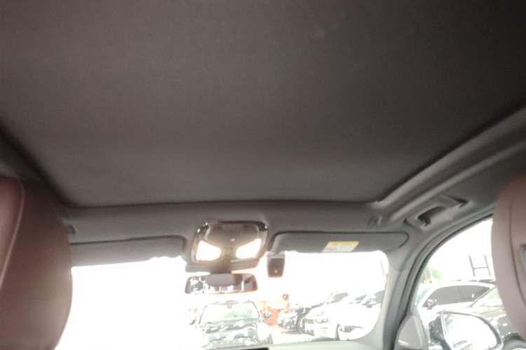 Used BMW X3 2023 xDrive30i Luxury Edition M Night Sky Package Headliner