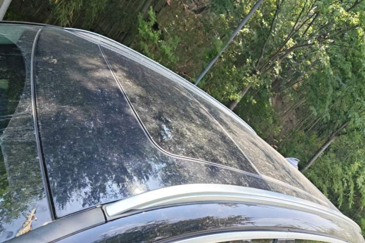 Used BMW X3 2023 xDrive25i M Sport Package Roof