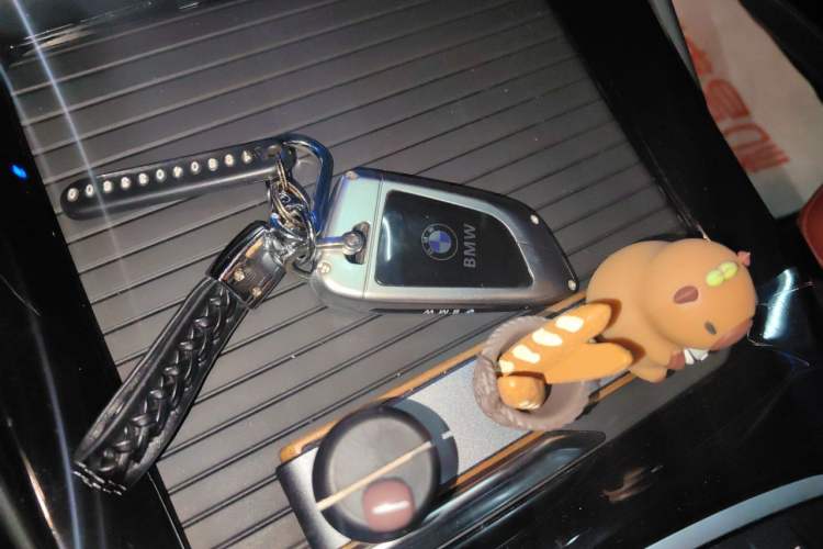 Used BMW X3 2023 Restyled xDrive30i Leading Edition M Night Sky Package Vehicle Key
