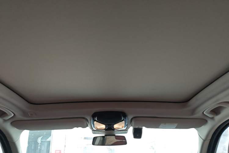 Used BMW X3 2023 xDrive30i Luxury Edition M Night Sky Package Headliner
